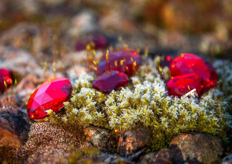 Buy ruby jewellery
